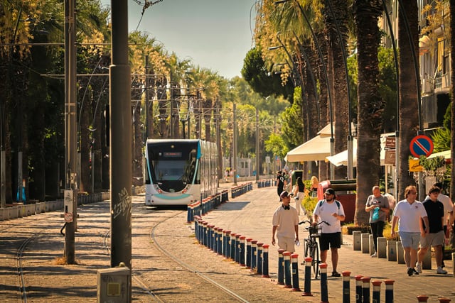 Tram and walking routes along a palm-lined Turkish city street