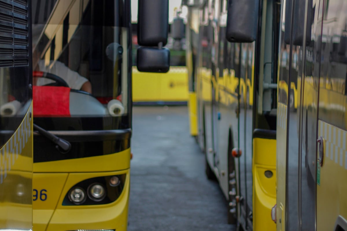 Fleet of city buses